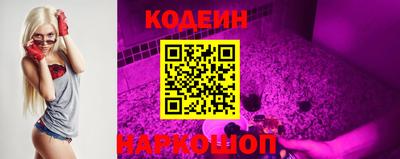 крисы Шебекино