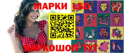 крисы Шебекино