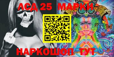 крисы Шебекино