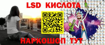 крисы Шебекино