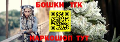 амф Шахты