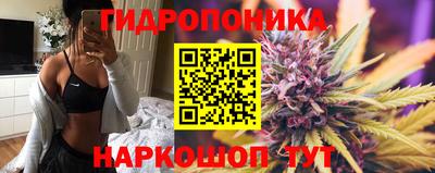 амф Шахты