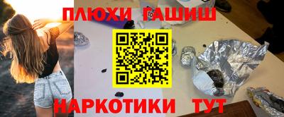 крисы Шебекино