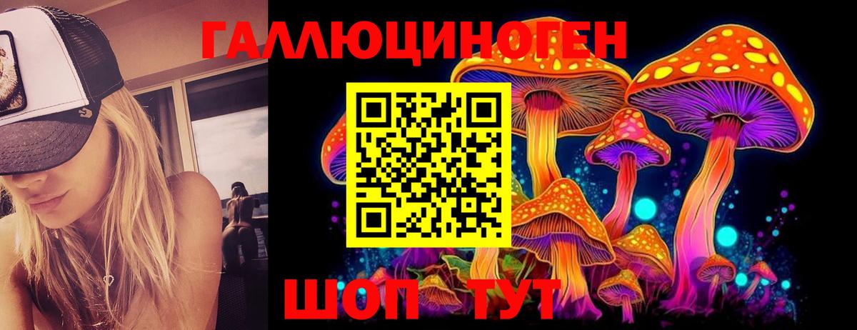 Шарыпово  Галлюциногенные грибы мухоморы  Вход с VPN 