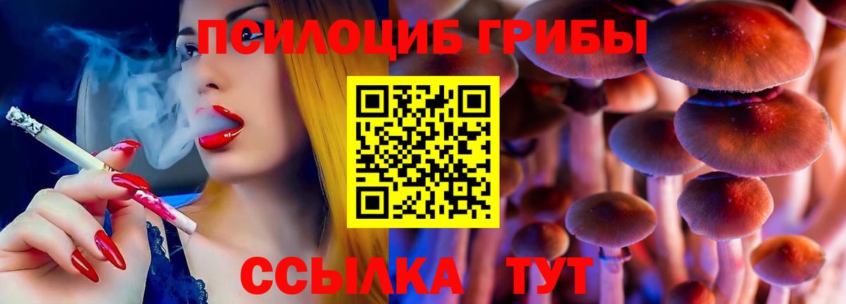 Псилоцибиновые грибы прущие грибы Шарыпово